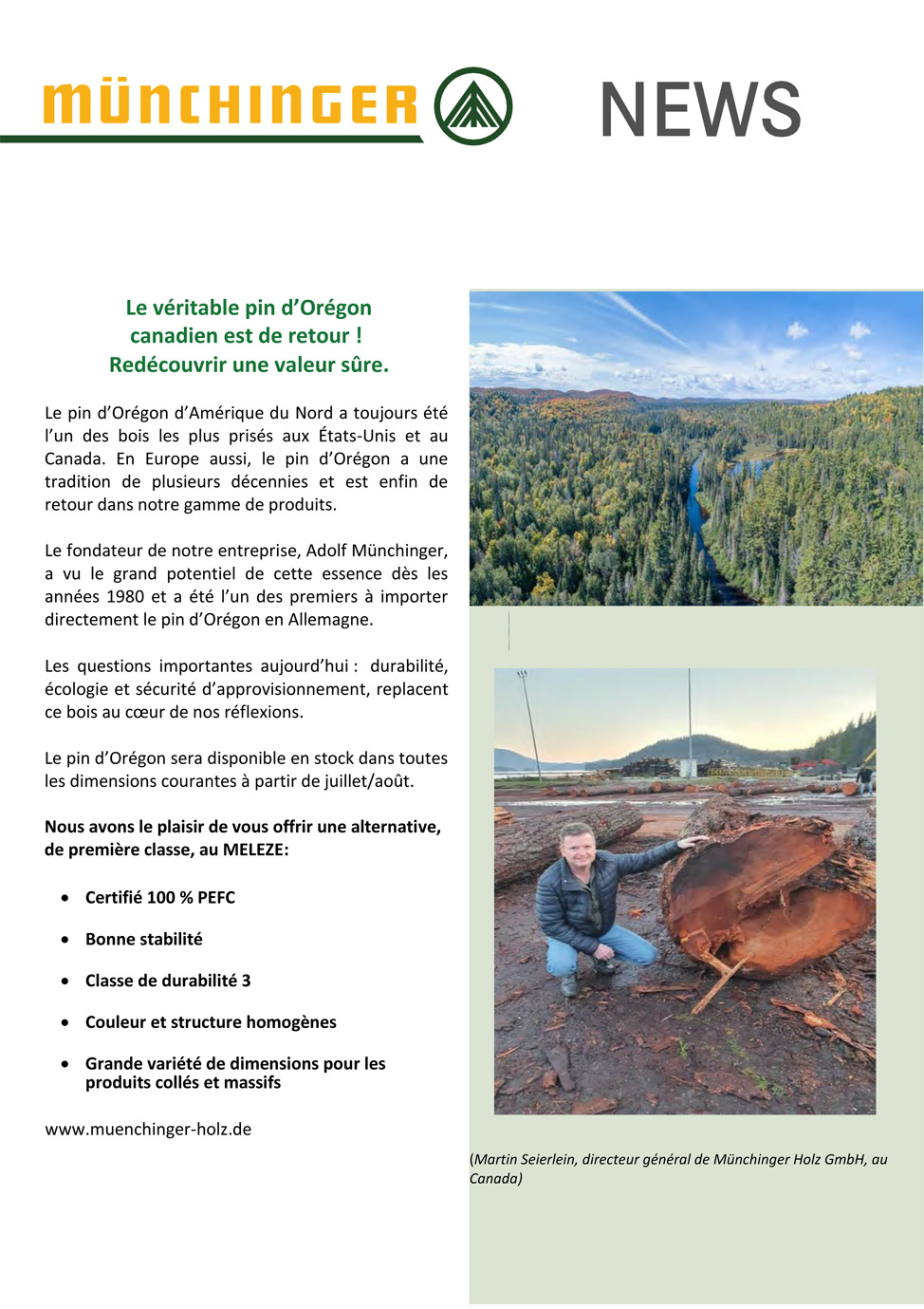 News: Echte kanadische Oregon Pine