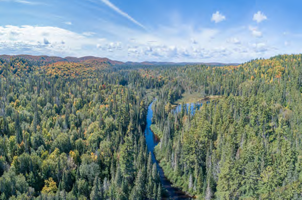 Interview im Holz-Zentralblatt