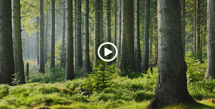 Vorschaubild zum Münchinger-Imagefilm 