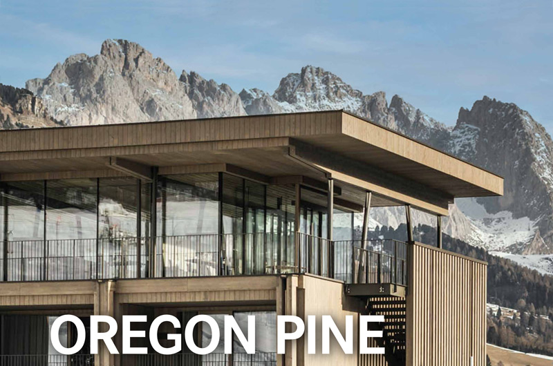 News Muenchinger Orego Pine